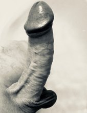 Xxx