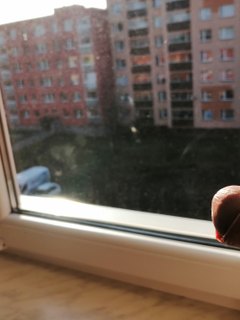 Krásně slunečný den!