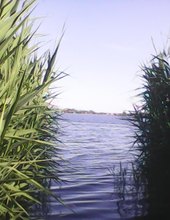 Výhled
