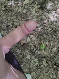 V prirode