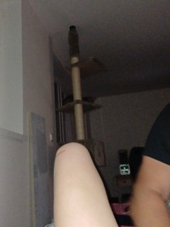 Naše