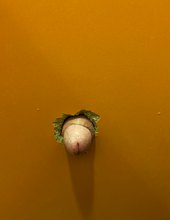 Pri kine v europe je gloryhole
