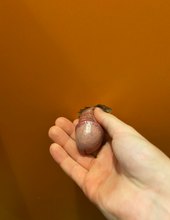 Zmesti sa tam iba mensi penis