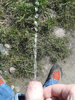 piss