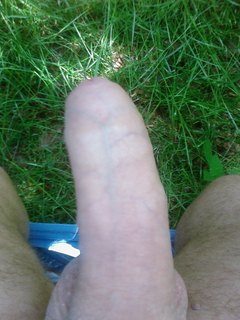 V lese