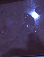 moja sperma