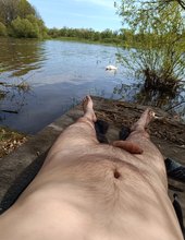 Labuťák