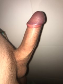 Shrnuto