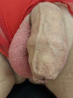 Sperma