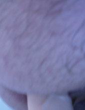 Robertek