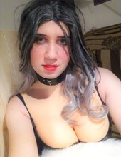 Black cat