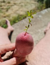 Chcací roura s kytičkou:)