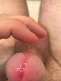 Cock