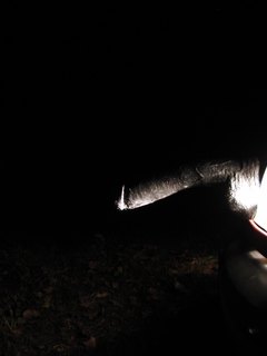 dildo in HoughWood