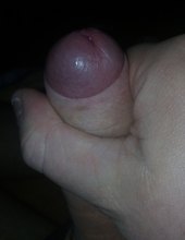 Penis