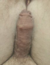 Penisek