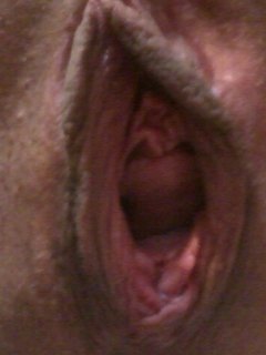 Cipusia