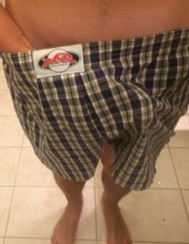 Penis