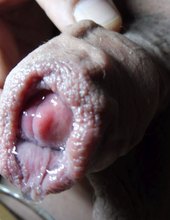 Very wet Cock