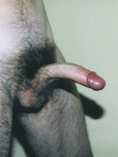 Amator 2
