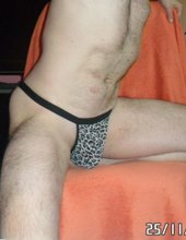 jocksy tiger