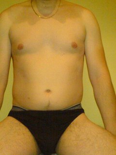 Galeria V