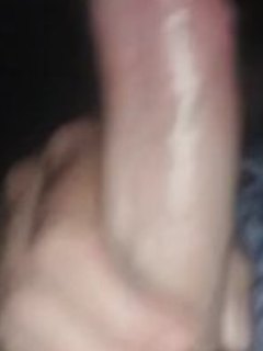Penis