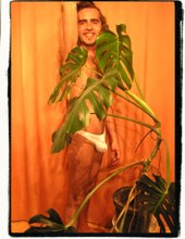 Monstera
