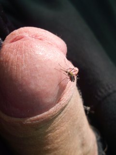 W zgodzie z natura ^^