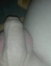 penis