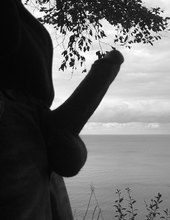 ocean view