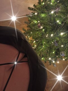 🎄✨✨✨🎄✨✨✨🎄