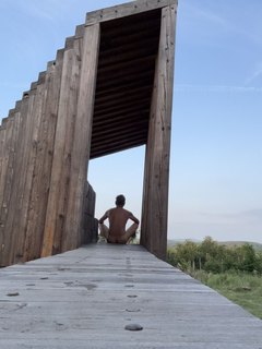 konečne v lese
