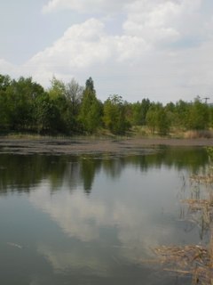 Vzpomínka na loňské léto