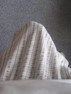 Muj zarostlej penis 2