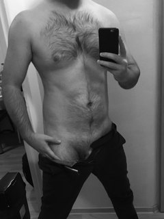 Black and white bear