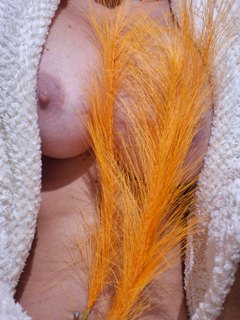 🧡🧡🧡