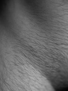 Monochromaticky