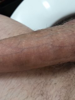 penis