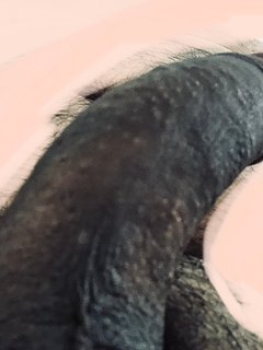 môj