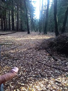 Procházka