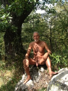 V lese