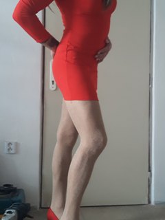 Cervena damicka