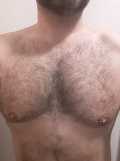 bear36