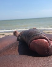 Black Sea