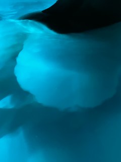 Whirlpool