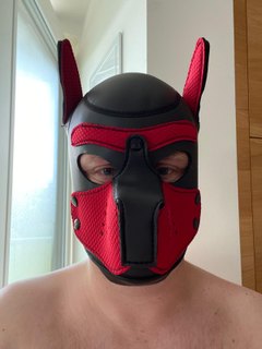 Woof