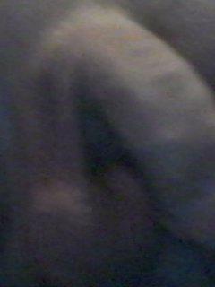 nove