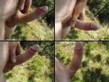 outdoor cock