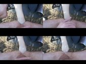 fist v prirode